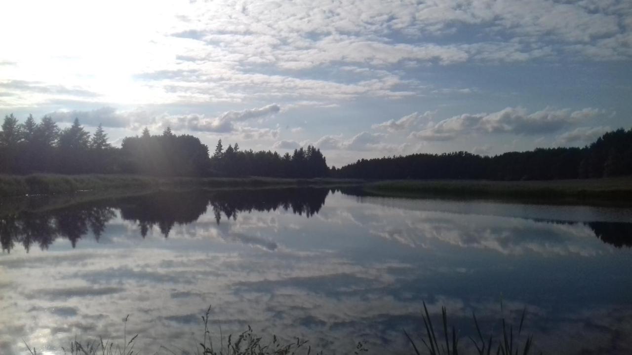 Bialowieza Spanie Na Sianie Puszcza Bialowieska Dubicze Cerkiewne Bagian luar foto